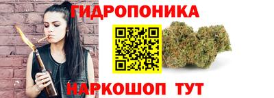 сатива Гусиноозёрск