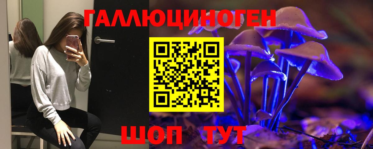 Галлюциногенные грибы GOLDEN TEACHER  Вход с VPN  Галлюциногенные грибы ЛСД  Киржач 